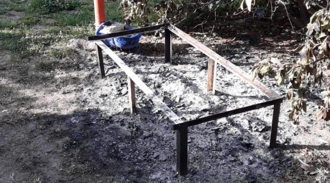 Tugay’dan kedi vahşetine sert tepki!