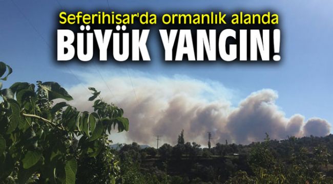Seferihisar’daki Orman Yangınında Son Durum