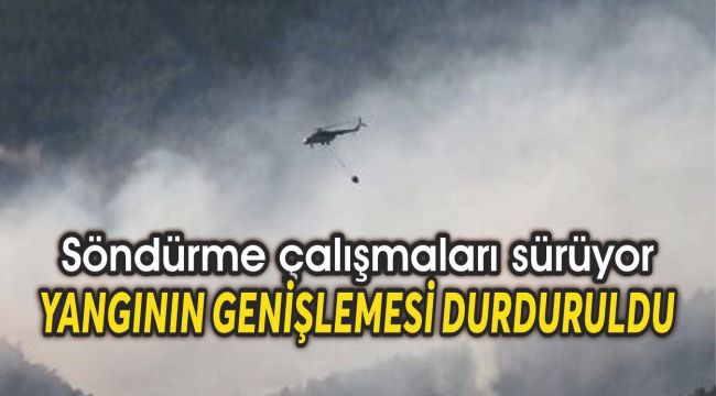 Orman yangınını söndürme çalışmaları sürüyor
