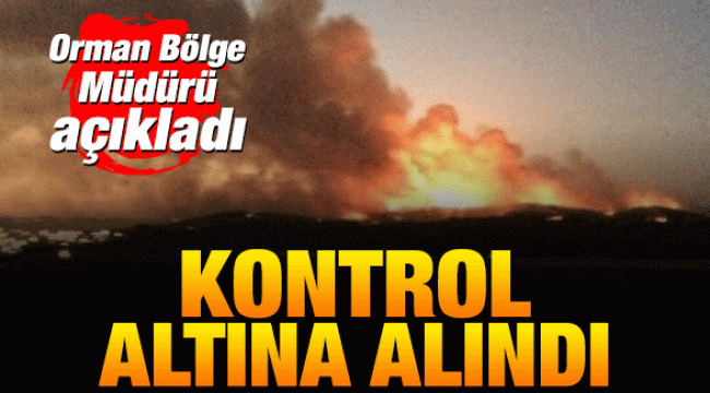 Orman yangını kontrol altına alındı