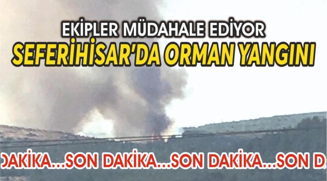 Seferihisar'da orman yangını