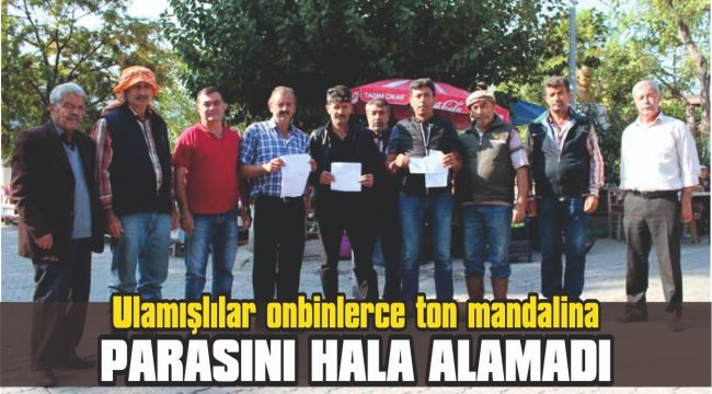 Ulamışlılar onbinlerce ton mandalina parasını hala alamadı