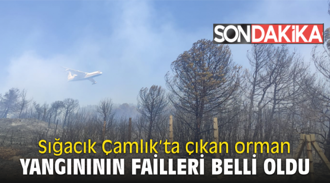 Sığacık Çamlık'ta çıkan orman yangınının failleri belli oldu