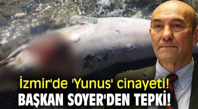 İzmir'de 'Yunus' cinayeti!