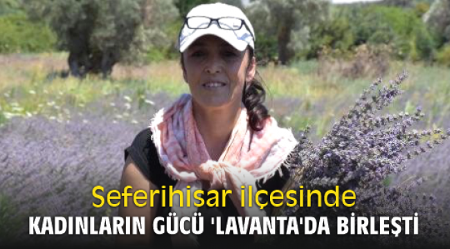 Kadınların gücü 'Lavanta'da birleşti