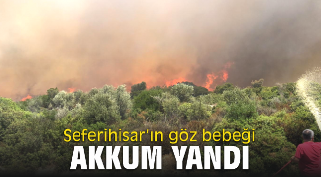 Seferihisar'ın göz bebeği Akkum yandı