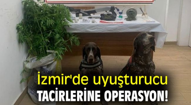 İzmir'de uyuşturucu tacirlerine operasyon!