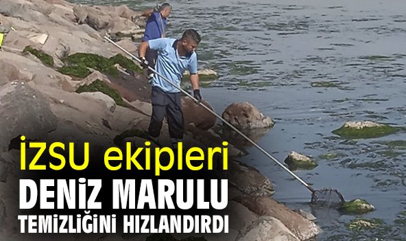 İZSU ekipleri deniz marulu temizliğini hızlandırdı