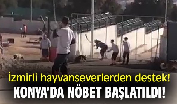İzmirli hayvanseverlerden destek! Konya'da nöbet başlatıldı!