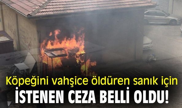 Köpeğini vahşice öldüren sanık için istenen ceza belli oldu!