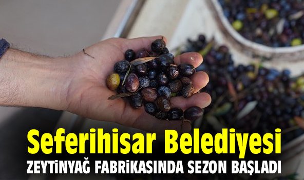 Seferihisar Belediyesi, zeytinyağ fabrikasında sezon başladı