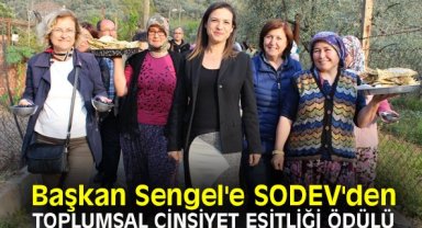 Başkan Sengel'e SODEV'den toplumsal cinsiyet eşitliği ödülü