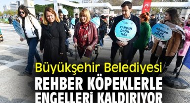 Büyükşehir Belediyesi rehber köpeklerle engelleri kaldırıyor