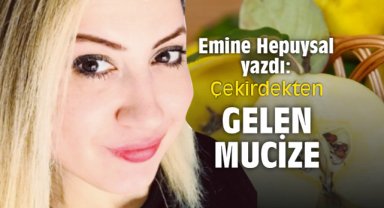 Çekirdekten Gelen Mucize…