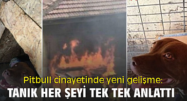 Pitbull cinayetinde yeni gelişme: Tanık her şeyi tek tek anlattı