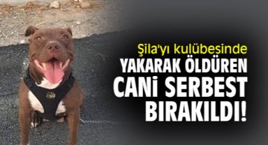Şila'yı yaşadığı kulübesinde yakarak öldüren cani serbest bırakıldı!