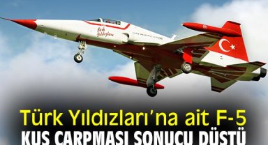 Türk Yıldızları'na ait F-5 kuş çarpması sonucu düştü