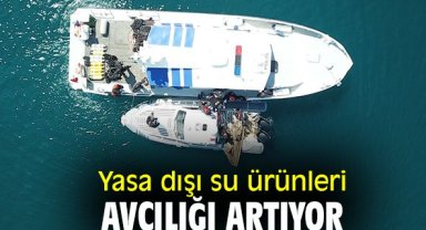 Yasa dışı su ürünleri avcılığı artıyor