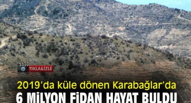 2019’da küle dönen Karabağlar’da 6 milyon fidan hayat buldu