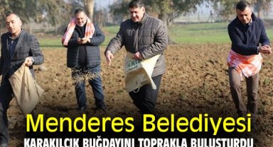 Menderes Belediyesi karakılçık buğdayını toprakla buluşturdu