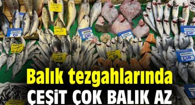 Balık tezgahlarında çeşit çok balık az