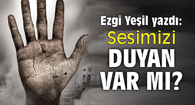 Sesimizi Duyan Varmı?