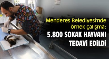 Menderes Belediyesi'nden örnek çalışma: 5.800 sokak hayvanı tedavi edildi