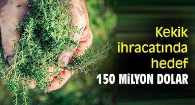 Kekik ihracatında hedef 150 milyon dolar