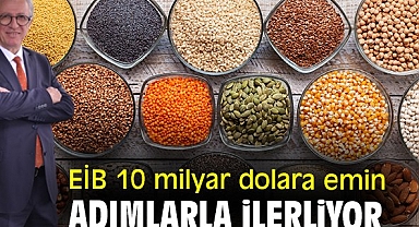 EİB 10 milyar dolara emin adımlarla ilerliyor