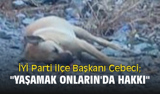 İYİ Parti ilçe Başkanı Cebeci;
