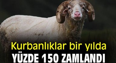 Kurbanlıklar bir yılda yüzde 150 zamlandı