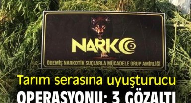 Tarım serasına uyuşturucu operasyonu: 3 gözaltı
