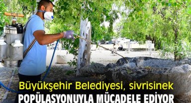 Büyükşehir Belediyesi, sivrisinek popülasyonuyla mücadele ediyor