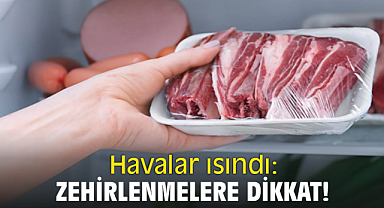 Havalar ısındı: Zehirlenmelere dikkat!