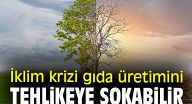 İklim krizi gıda üretimini tehlikeye sokabilir