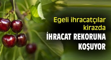 Egeli ihracatçılar, kirazda ihracat rekoruna koşuyor