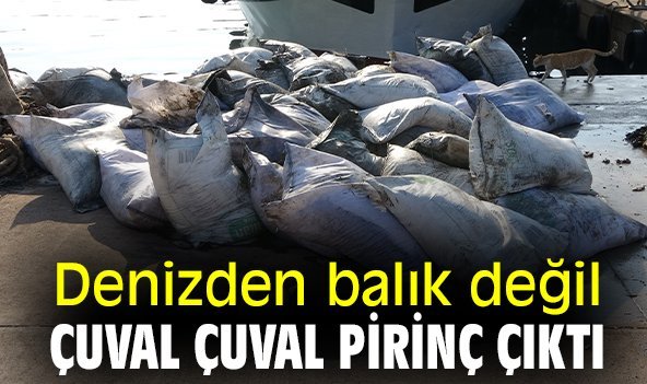 Denizden balık değil çuval çuval pirinç çıktı
