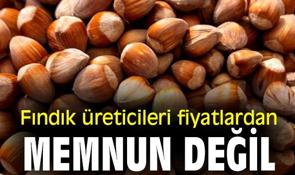 Fındık üreticileri fiyatlardan memnun değil