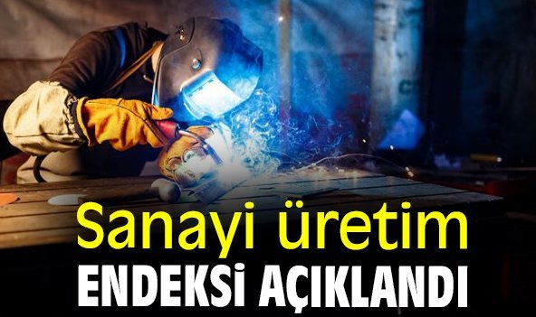 Sanayi üretim endeksi açıklandı