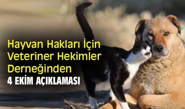 Hayvan Hakları İçin Veteriner Hekimler Derneğinden 4 Ekim açıklaması