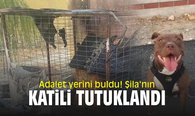 Adalet yerini buldu! Şila'nın katili tutuklandı