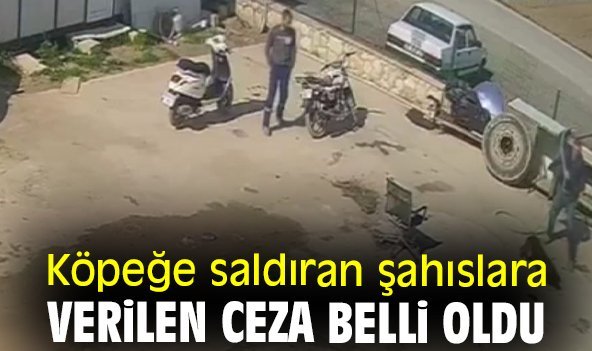 Köpeğe saldıran şahıslara verilen ceza belli oldu