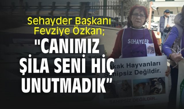 Sehayder Başkanı Fevziye Özkan;