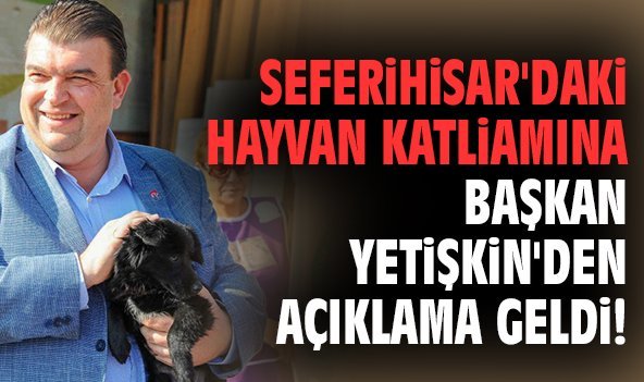 Seferihisar'daki hayvan katliamına Başkan Yetişkin'den açıklama geldi!
