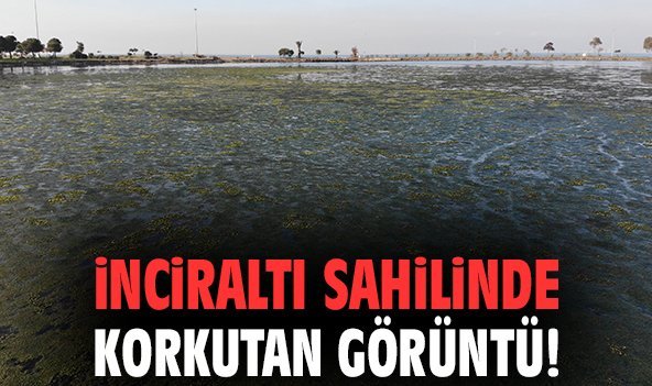 İnciraltı sahilinde korkutan görüntü!