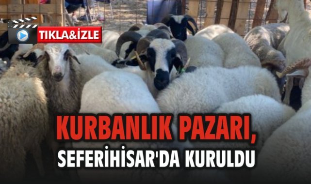Kurbanlık Pazarı, Seferihisar'da Kuruldu