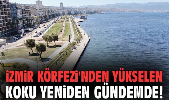 İzmir Körfezi'nden yükselen koku yeniden gündemde!
