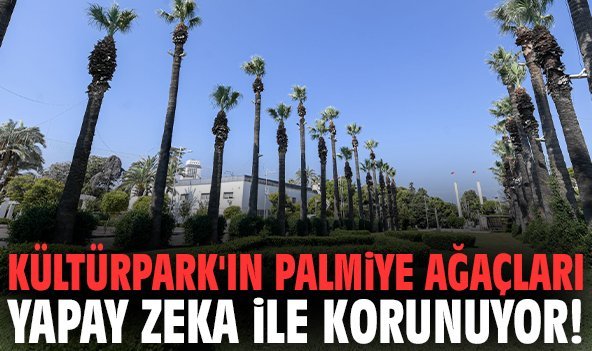Kültürpark'ın palmiye ağaçları yapay zeka ile korunuyor