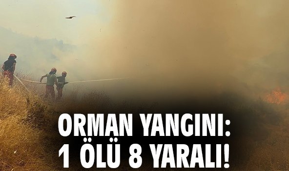 Orman yangını: 1 ölü 8 yaralı!