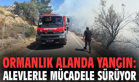 Ormanlık alanda yangın: Alevlerle mücadele sürüyor